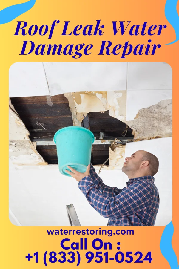 Roof Leak Water Damage Repair in Chandler, MN